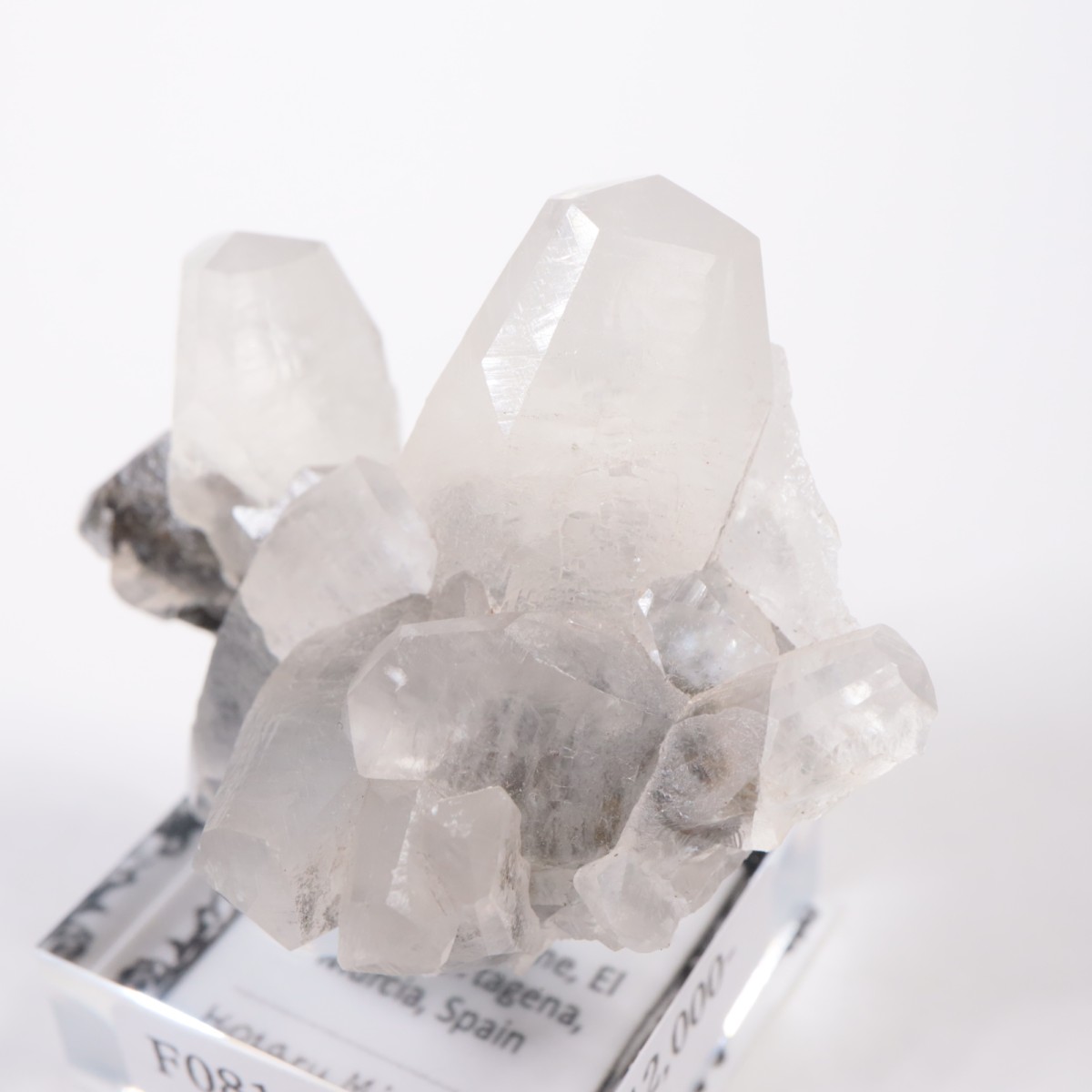 ���ڥ��� ���륵����