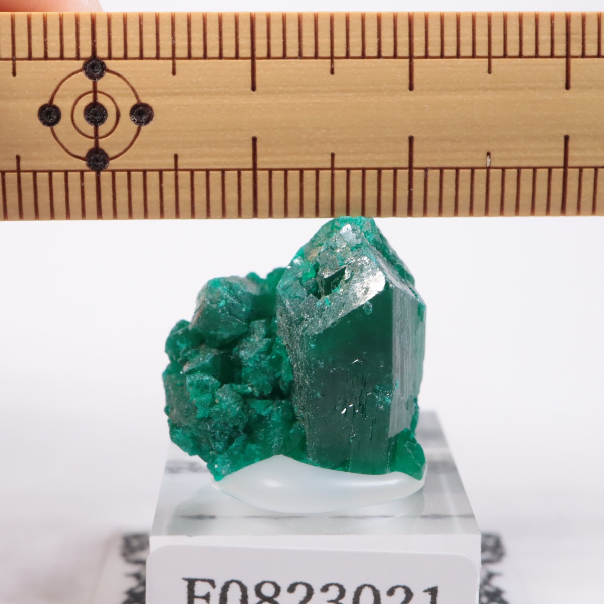 ���󥴻� �������ץơ���