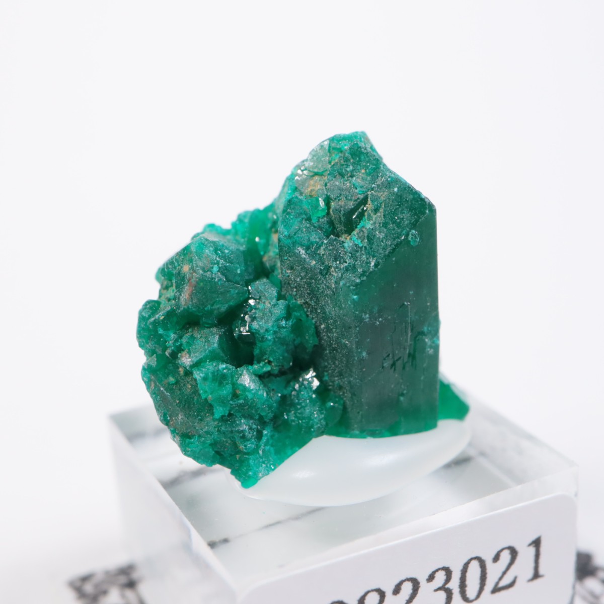 ���󥴻� �������ץơ���