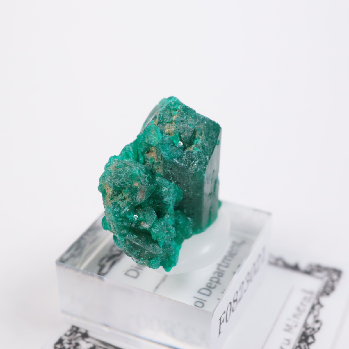 ���󥴻� �������ץơ���