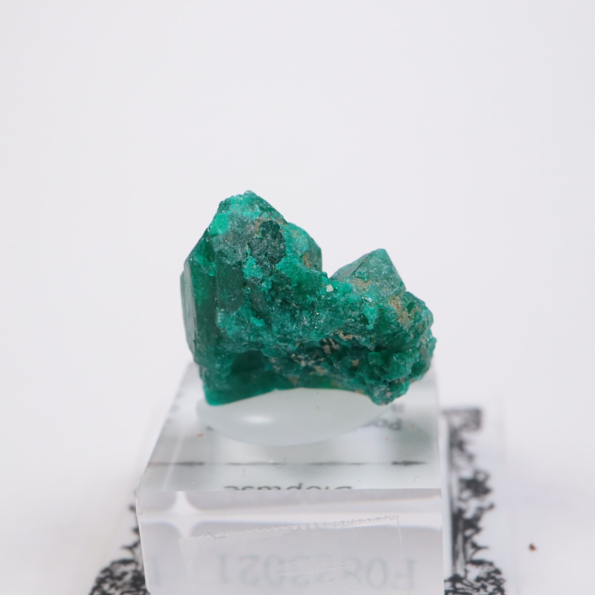 ���󥴻� �������ץơ���