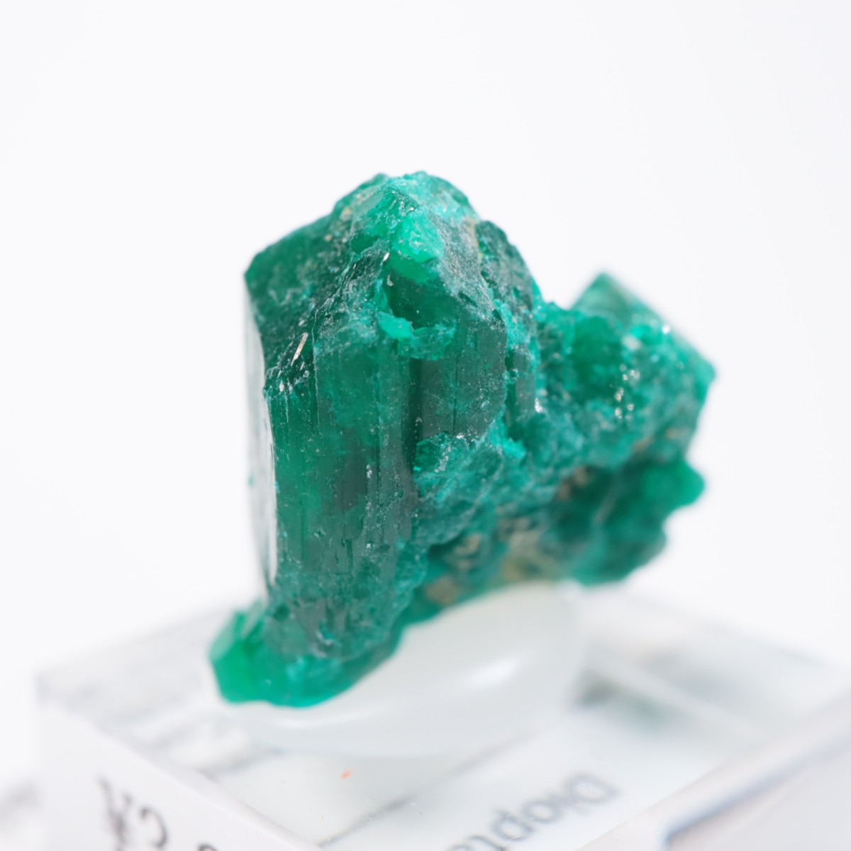 ���󥴻� �������ץơ���