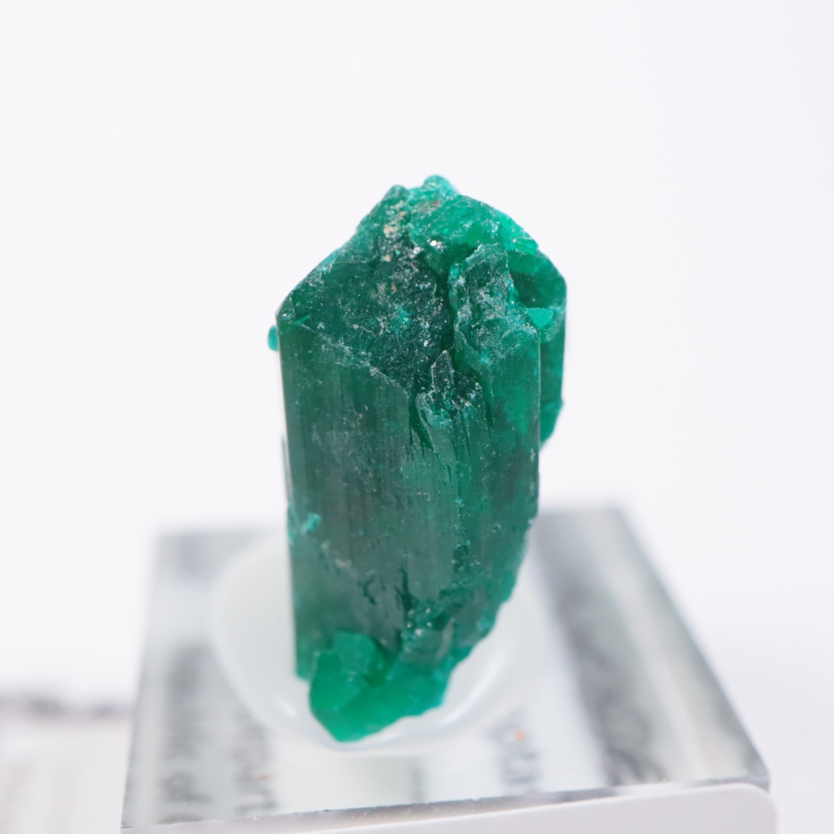 ���󥴻� �������ץơ���