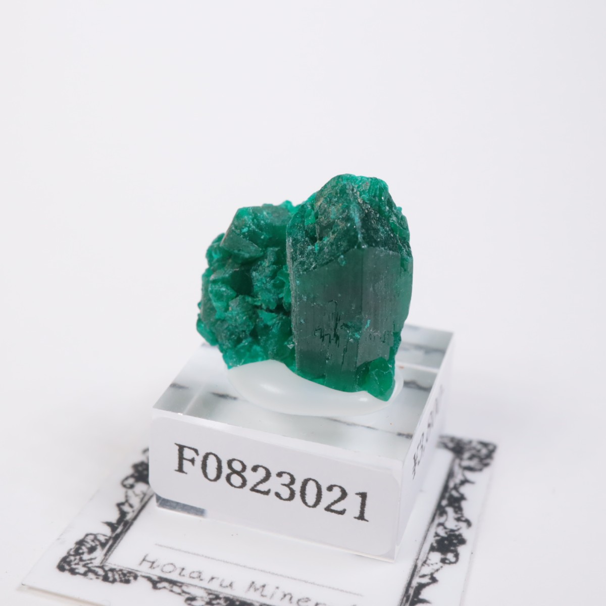 ���󥴻� �������ץơ���