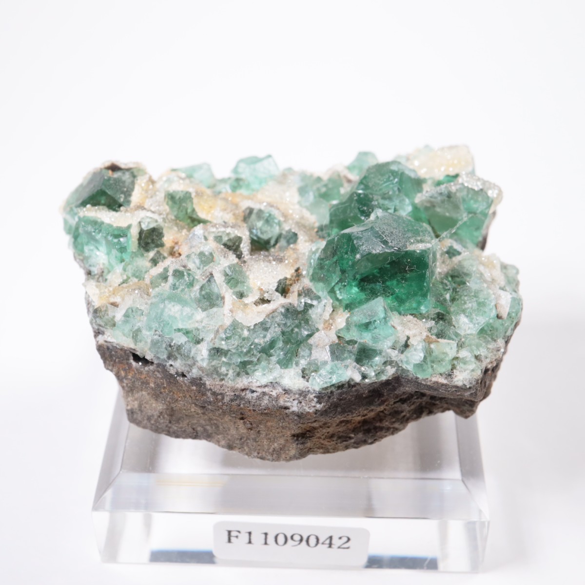 Druzy Dreams Pocket�� �ե����饤��