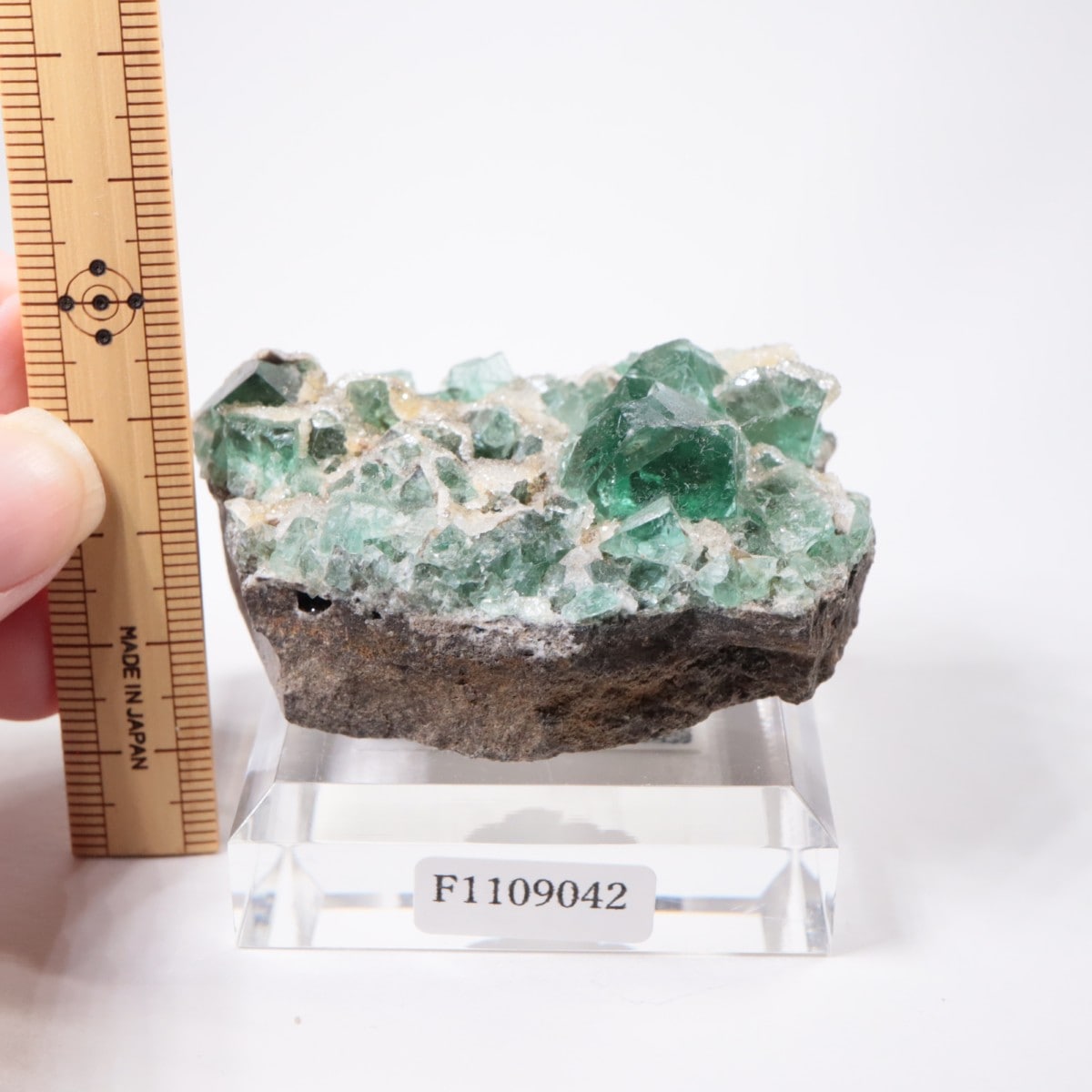 Druzy Dreams Pocket�� �ե����饤��