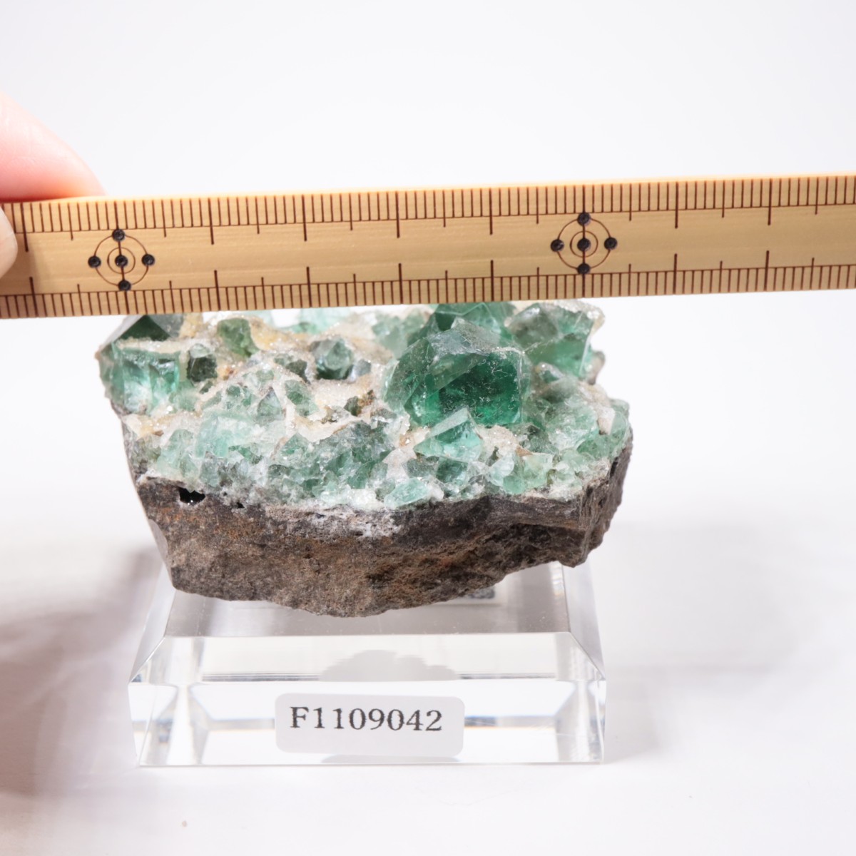 Druzy Dreams Pocket�� �ե����饤��