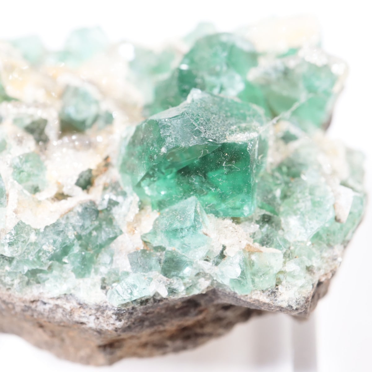 Druzy Dreams Pocket�� �ե����饤��