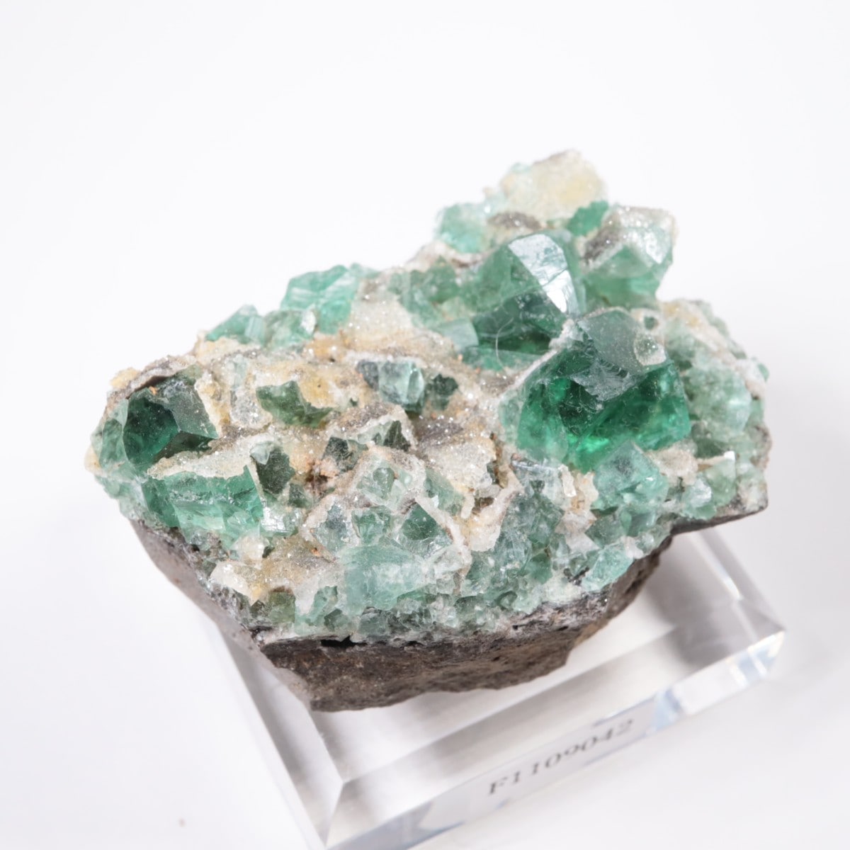 Druzy Dreams Pocket�� �ե����饤��