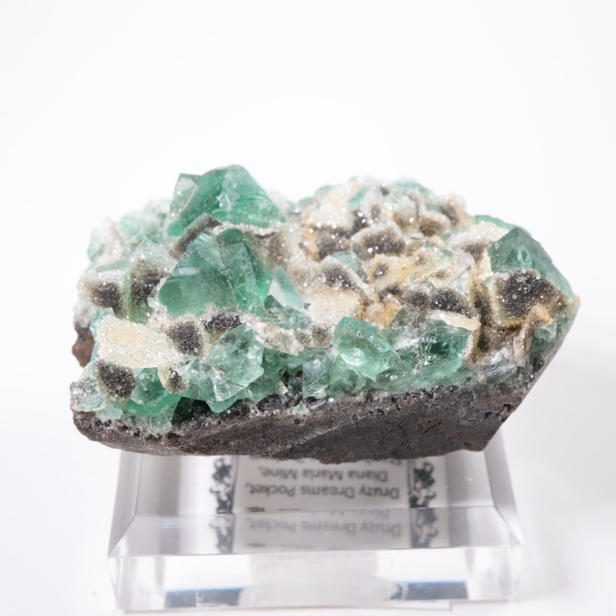 Druzy Dreams Pocket�� �ե����饤��