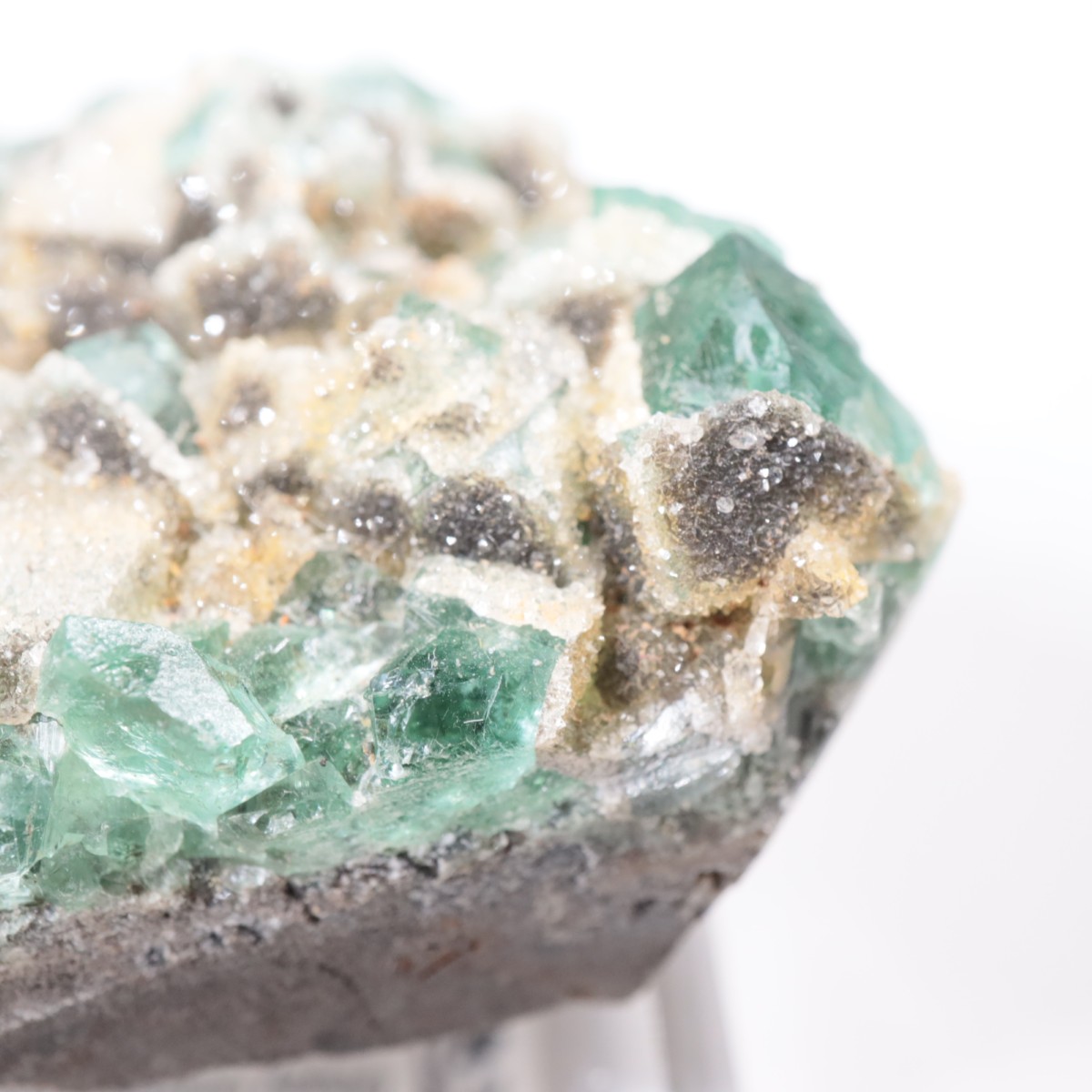 Druzy Dreams Pocket�� �ե����饤��