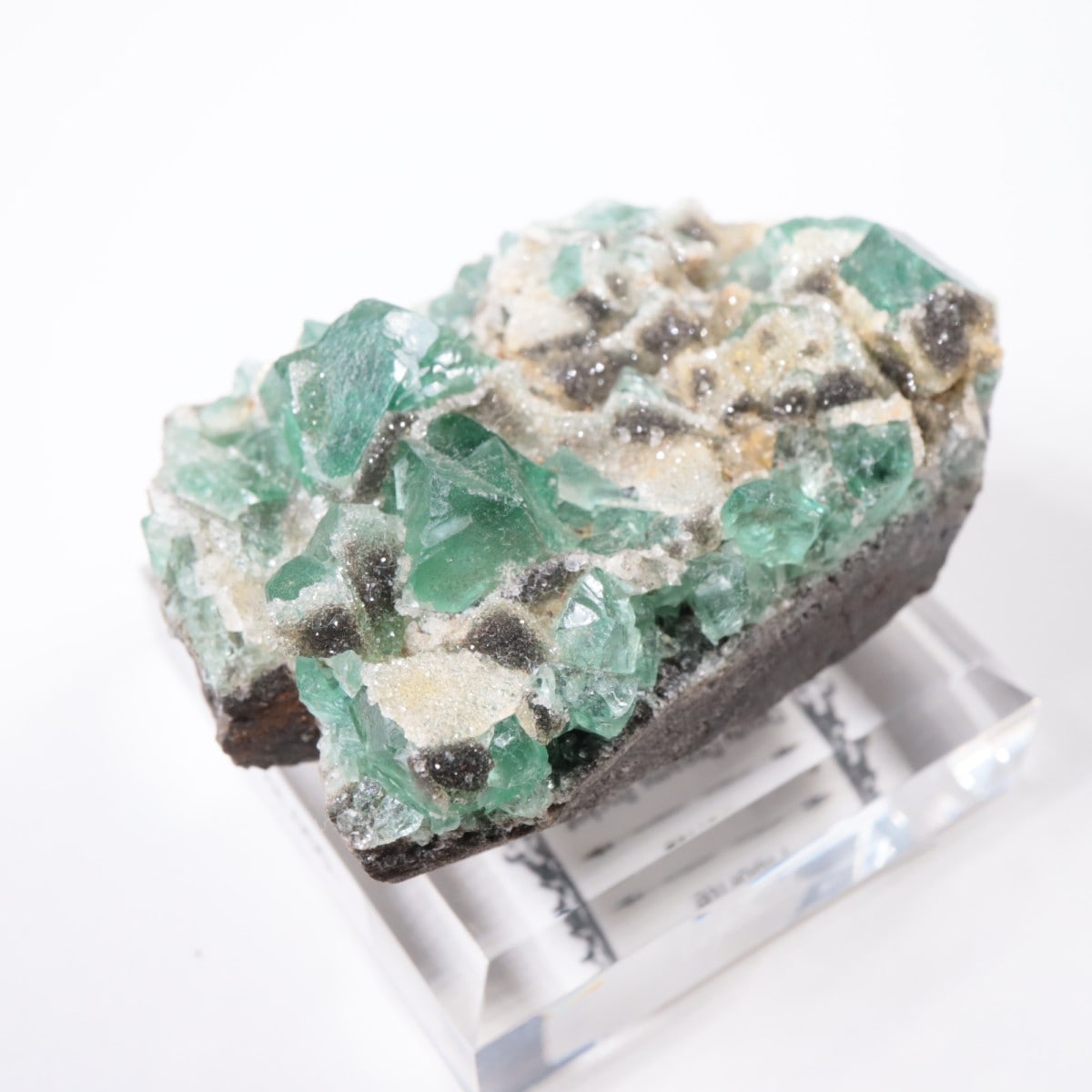 Druzy Dreams Pocket�� �ե����饤��