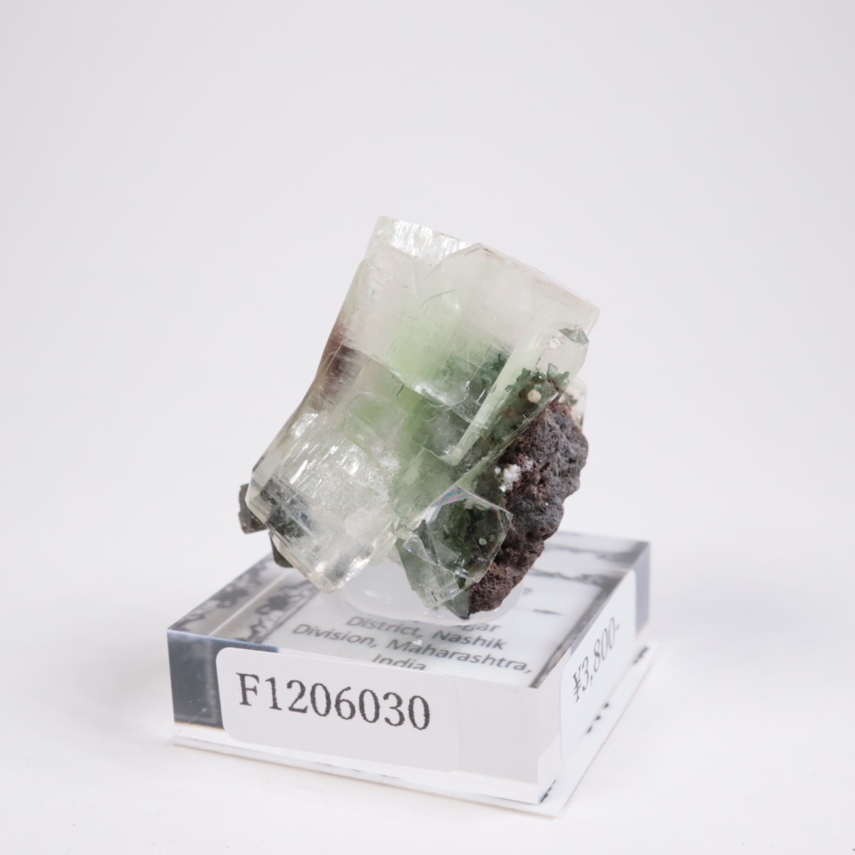 ����ɻ� ���ݥե��饤��