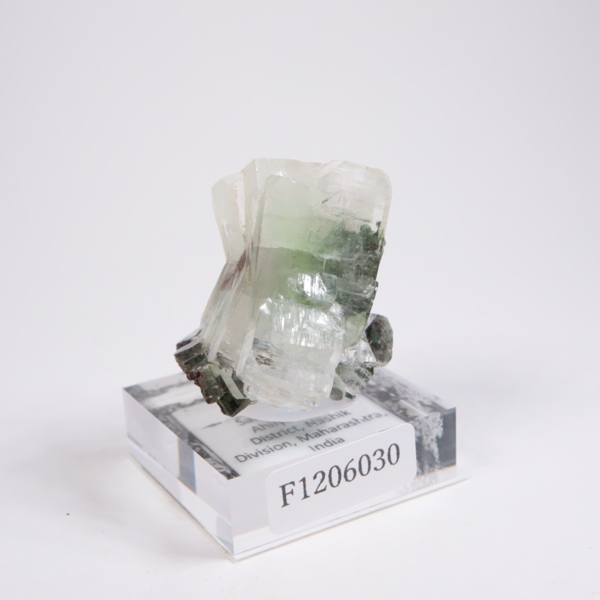 ����ɻ� ���ݥե��饤��