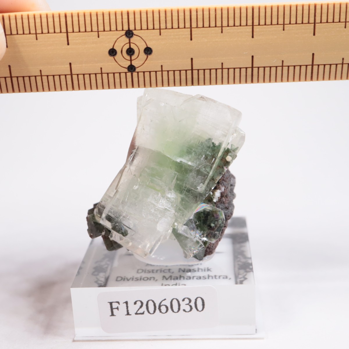 ����ɻ� ���ݥե��饤��