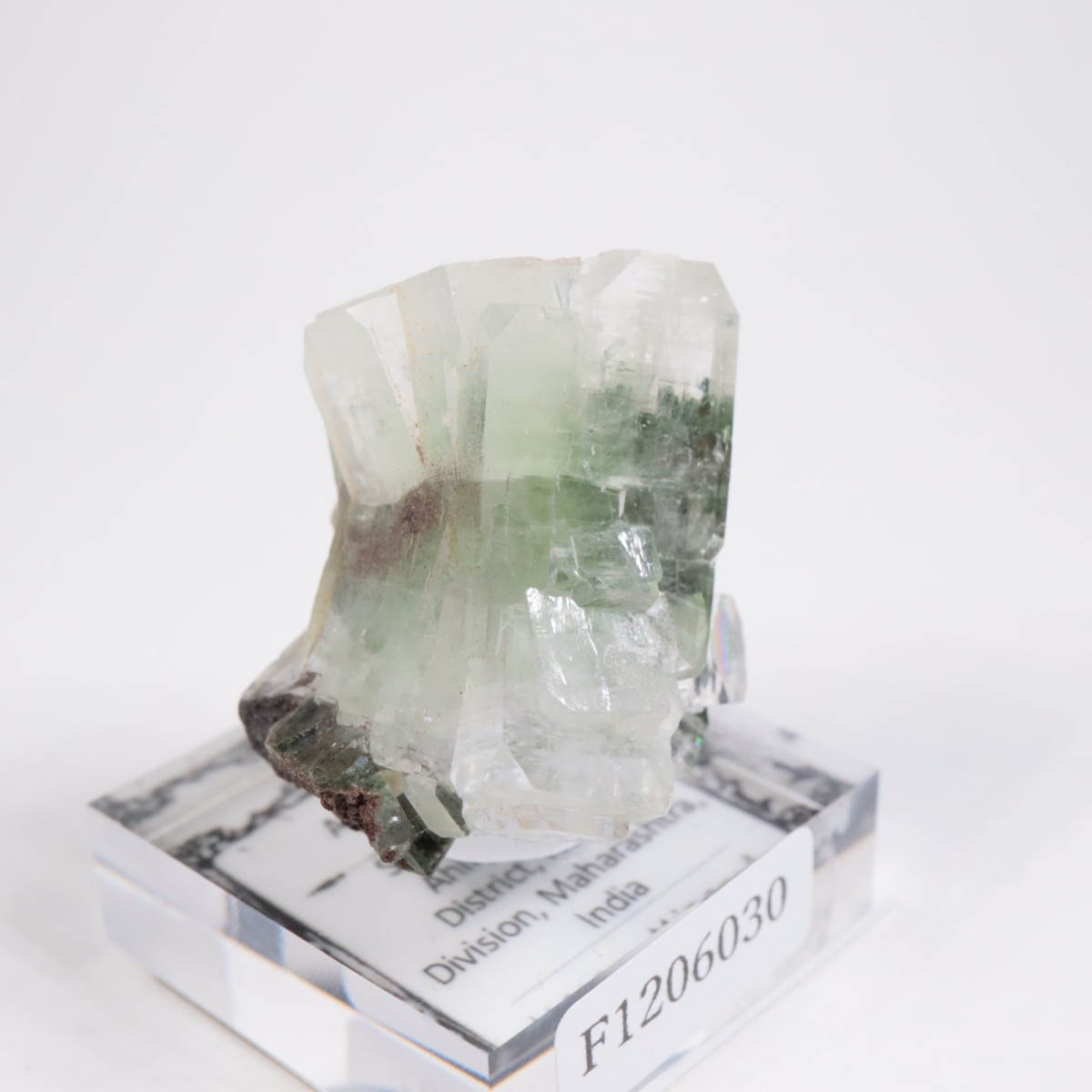 ����ɻ� ���ݥե��饤��