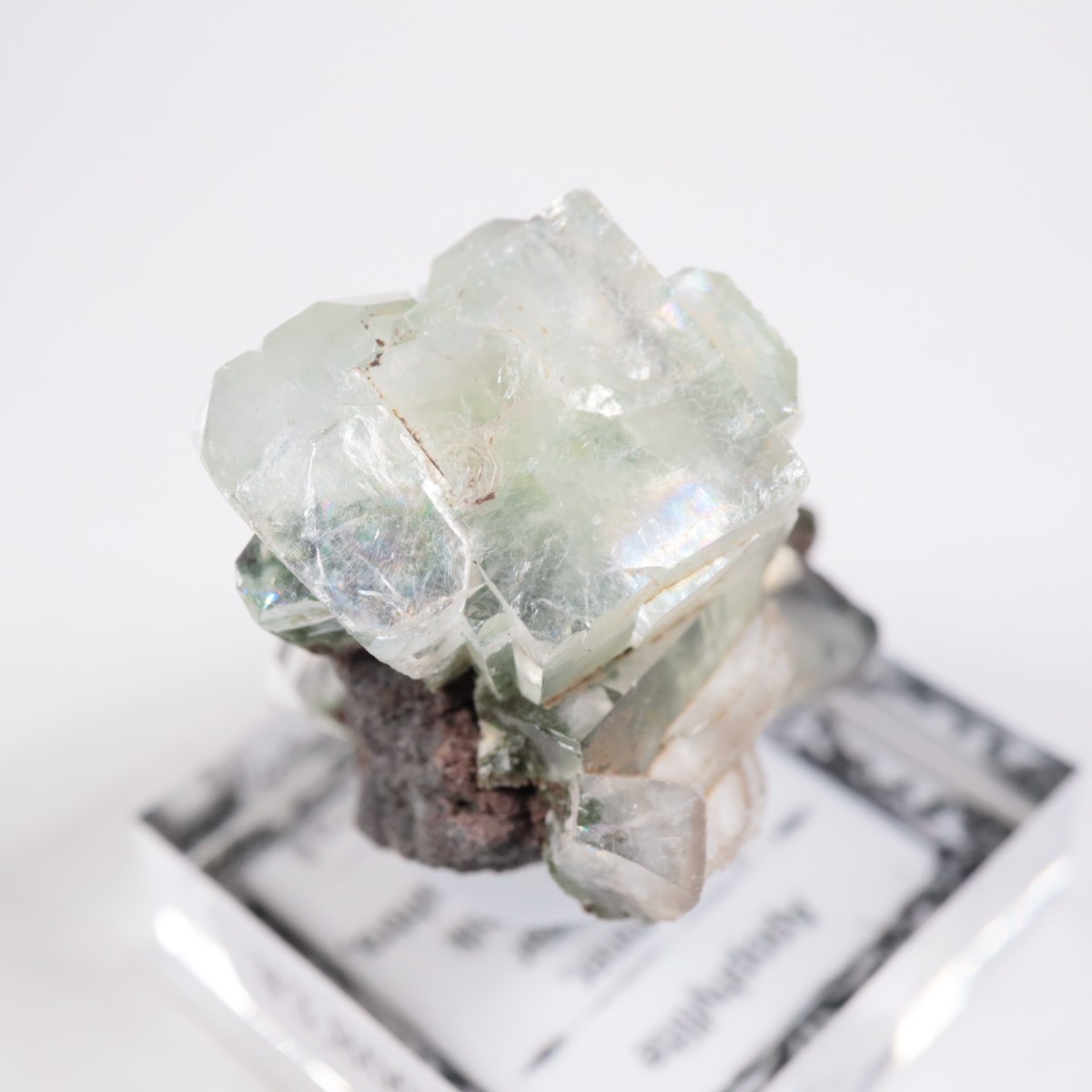 ����ɻ� ���ݥե��饤��