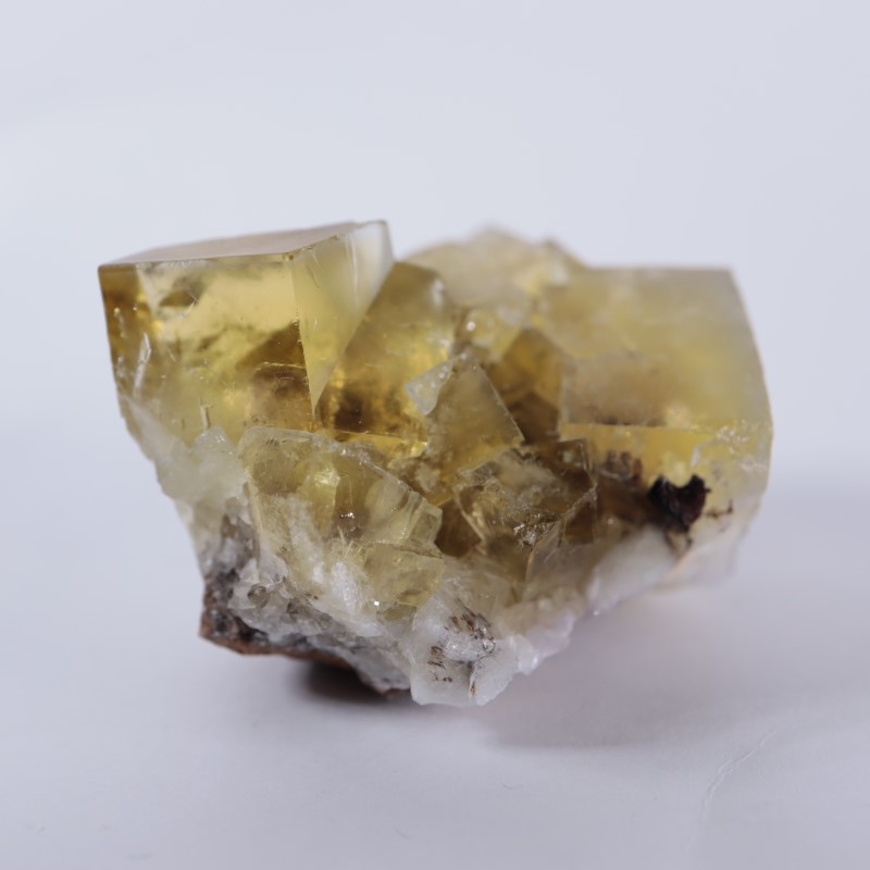 Honey Bear Pocket フローライト Harvest Pocket産 フローライト | 鉱物標本,ハ行,フローライト