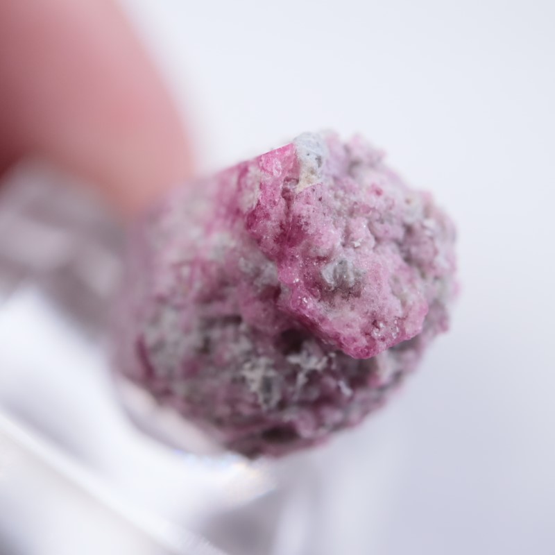 Ruby Violet Claim������åɥ٥��