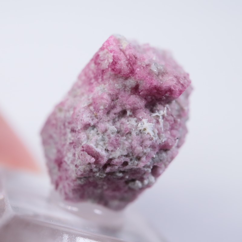 Ruby Violet Claim������åɥ٥��