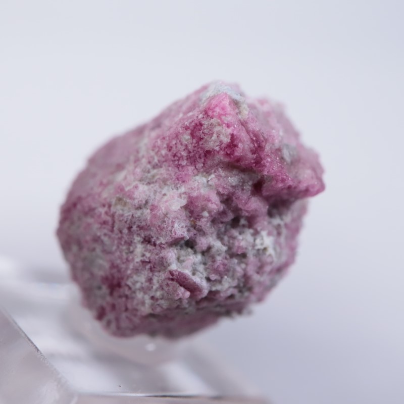 Ruby Violet Claim������åɥ٥��