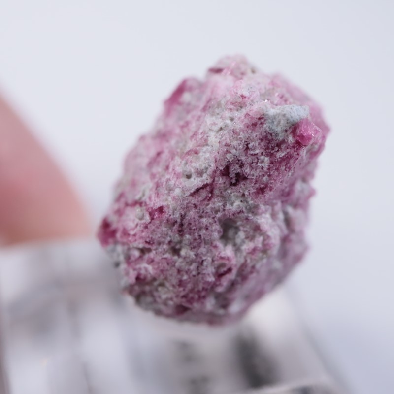 Ruby Violet Claim������åɥ٥��