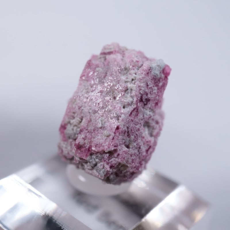 Ruby Violet Claim������åɥ٥��