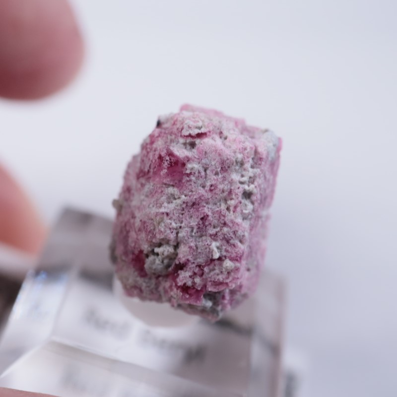 Ruby Violet Claim������åɥ٥��