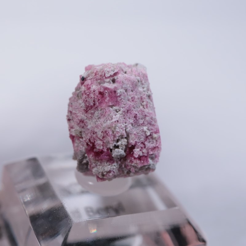 Ruby Violet Claim������åɥ٥��