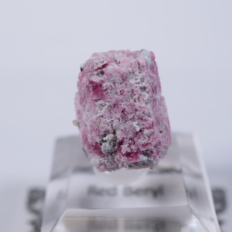 Ruby Violet Claim������åɥ٥��