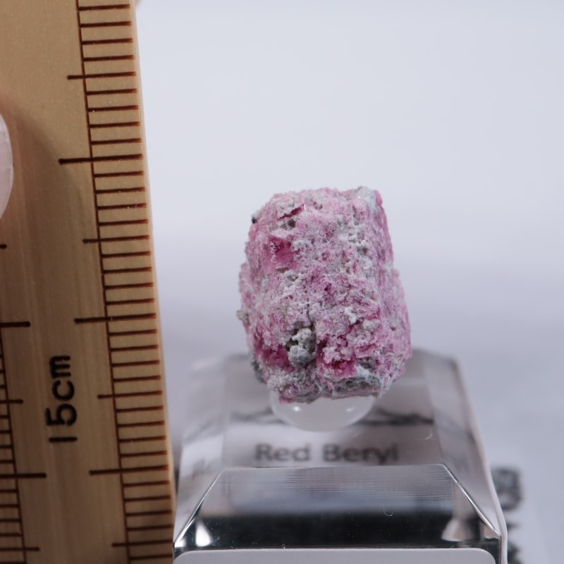 Ruby Violet Claim������åɥ٥��