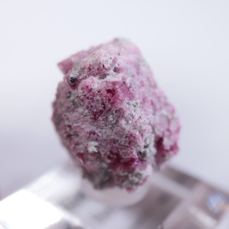 Ruby Violet Claim������åɥ٥��