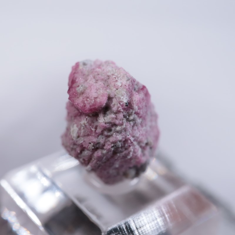 Ruby Violet Claim������åɥ٥��