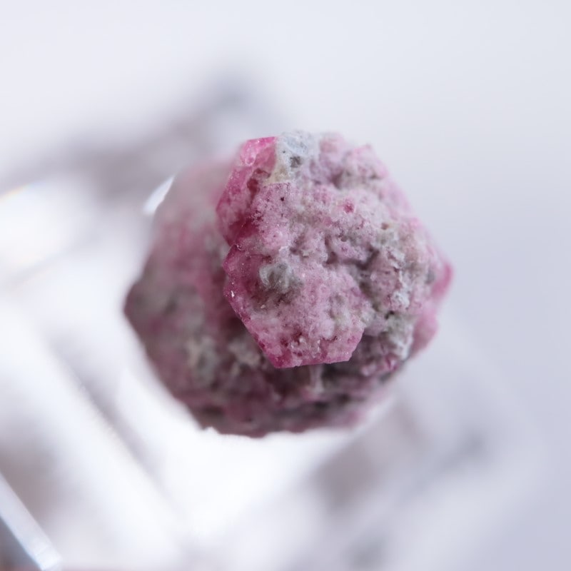 Ruby Violet Claim������åɥ٥��