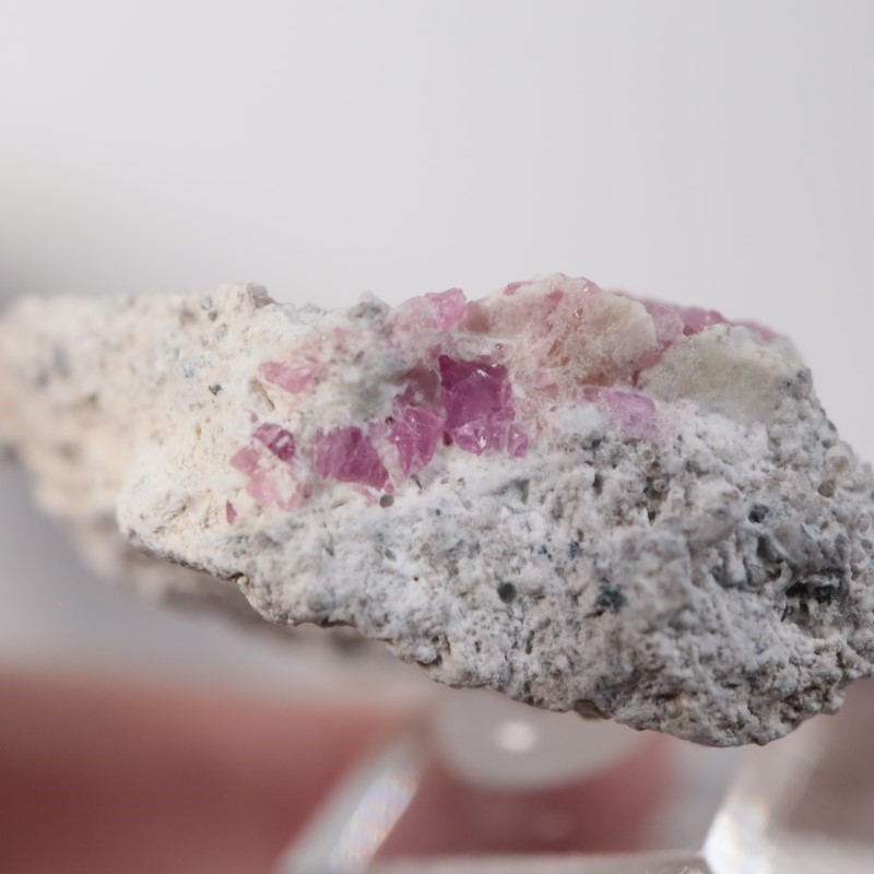 Ruby Violet Claim������åɥ٥��