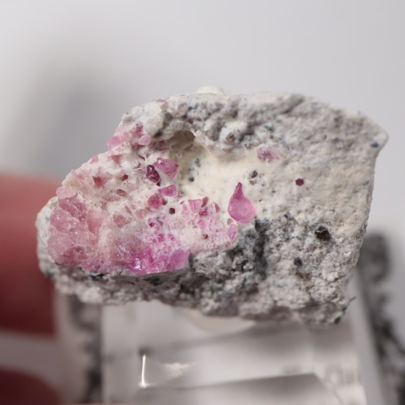 Ruby Violet Claim������åɥ٥��