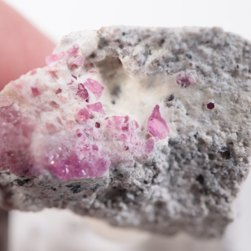 Ruby Violet Claim������åɥ٥��