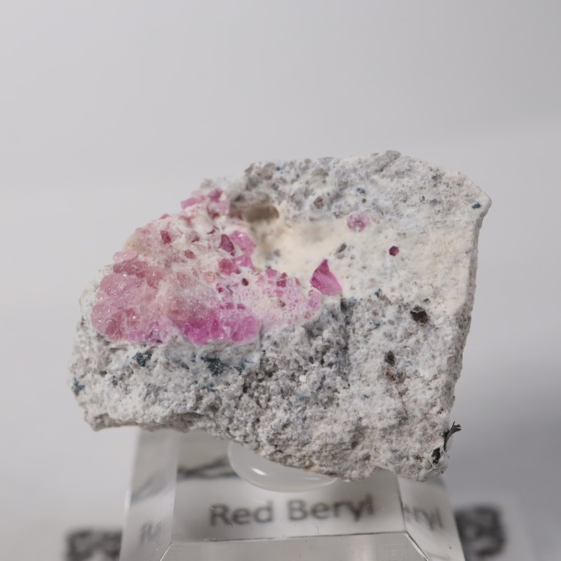 Ruby Violet Claim������åɥ٥��