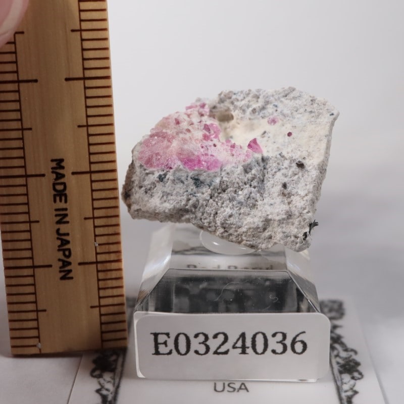 Ruby Violet Claim������åɥ٥��