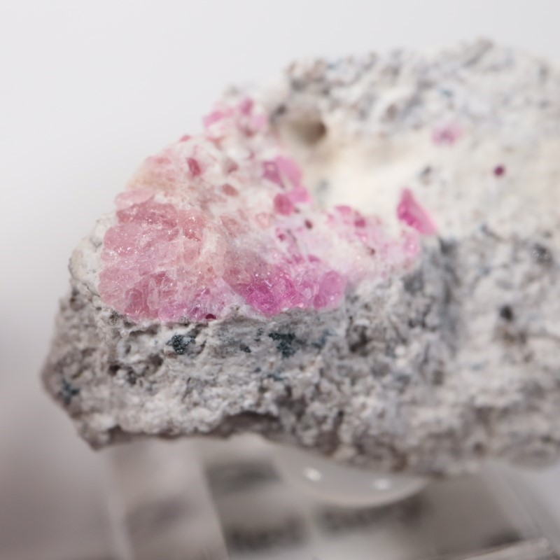 Ruby Violet Claim������åɥ٥��