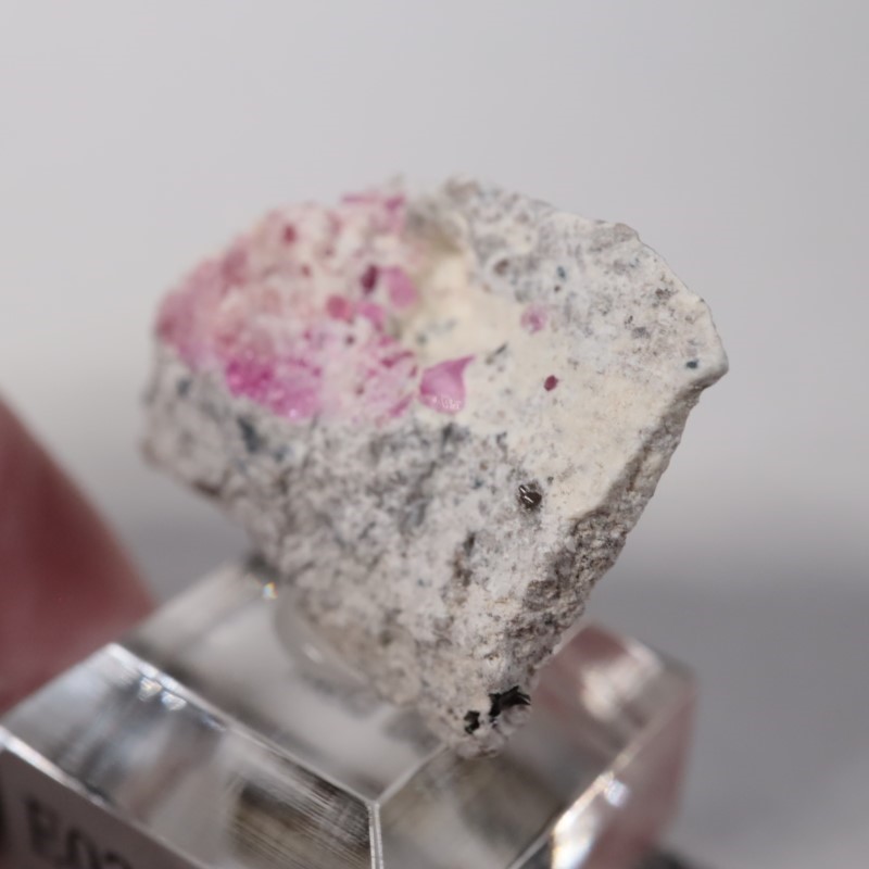 Ruby Violet Claim������åɥ٥��