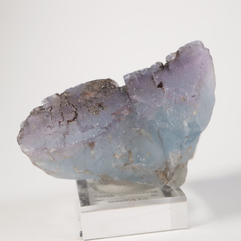 ����Υ������ե����饤�ȡ��ӥ��塼���