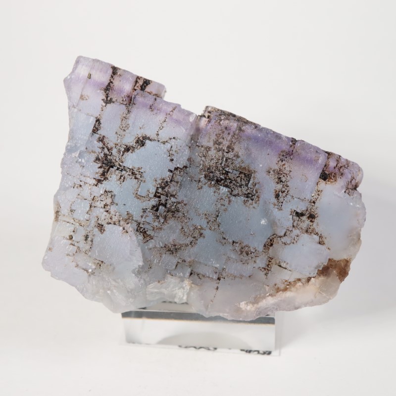 ����Υ������ե����饤�ȡ��ӥ��塼���