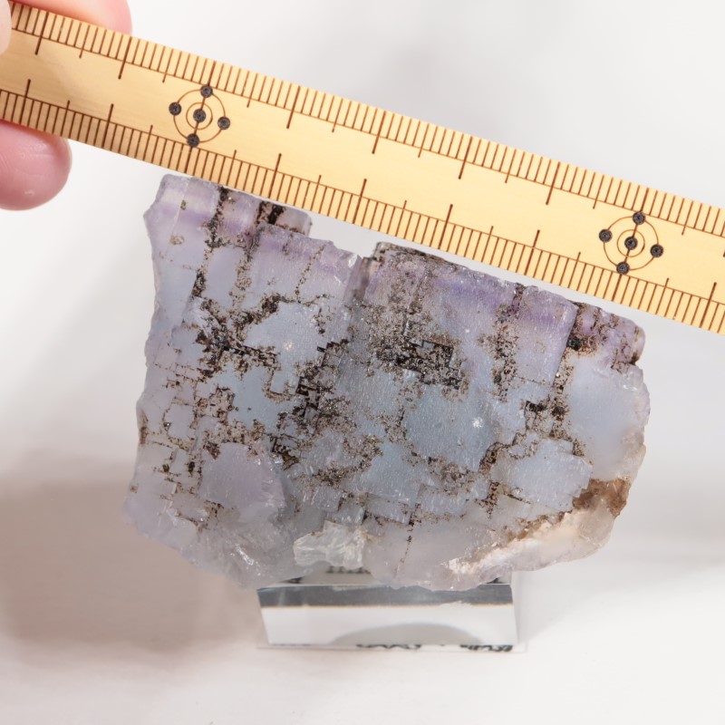 ����Υ������ե����饤�ȡ��ӥ��塼���