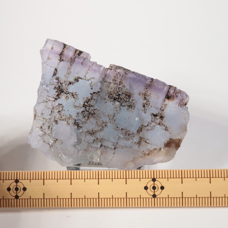 ����Υ������ե����饤�ȡ��ӥ��塼���