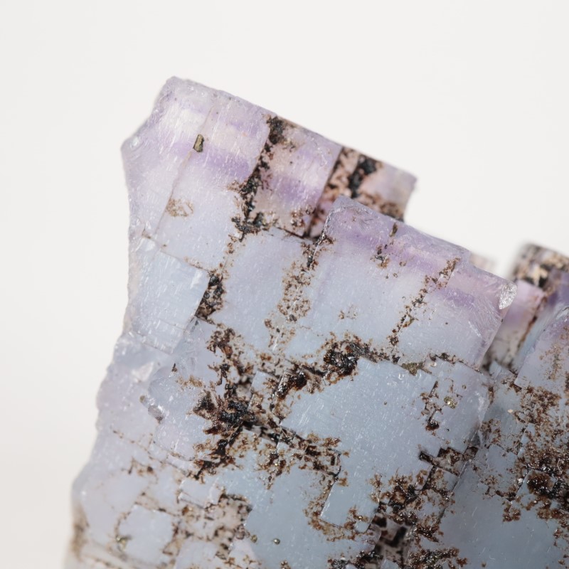 ����Υ������ե����饤�ȡ��ӥ��塼���