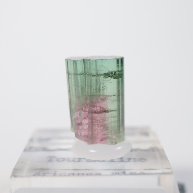 �ߥʥ������饤���� �ȥ�ޥ��