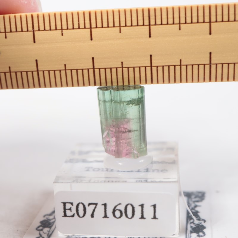 �ߥʥ������饤���� �ȥ�ޥ��