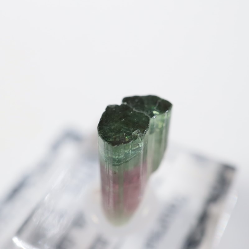 �ߥʥ������饤���� �ȥ�ޥ��