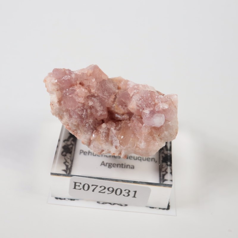 ���를����� �ԥ󥯥�������